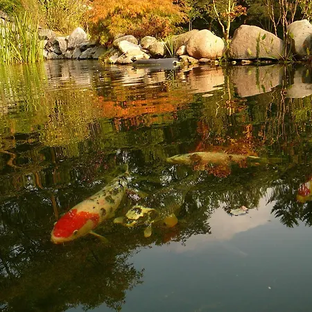 Penzion Gaestehaus Wahnenmuehle 4*