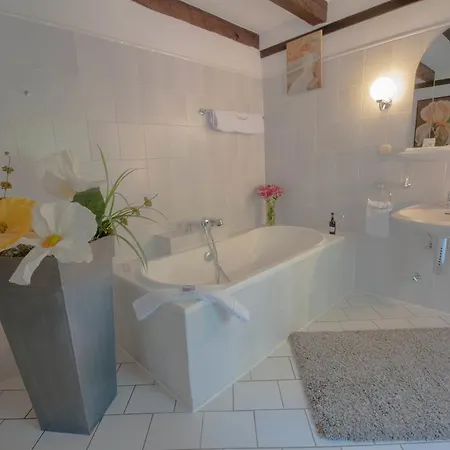 Gaestehaus Wahnenmuehle Penzion 4*