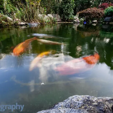 Gaestehaus Wahnenmuehle Penzion
