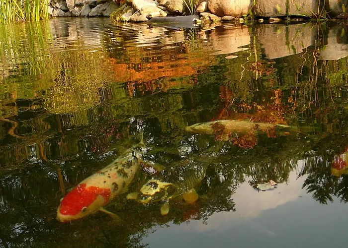 招待所 佳斯特豪斯瓦恩穆勒酒店 4*