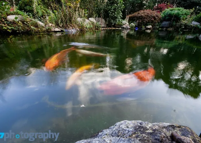 佳斯特豪斯瓦恩穆勒酒店 招待所